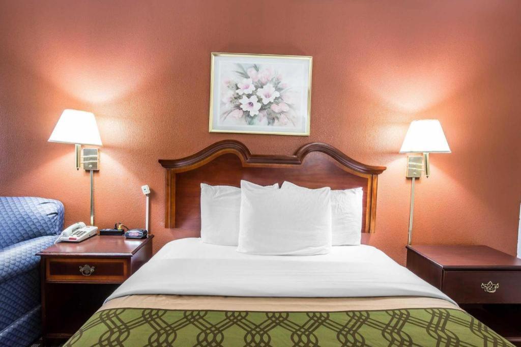 Econo Lodge South Garner Extérieur photo